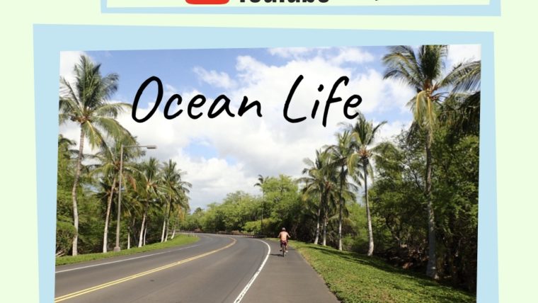Youtubeチャンネル【Ocean　Life】（オーシャンライフ）のご紹介